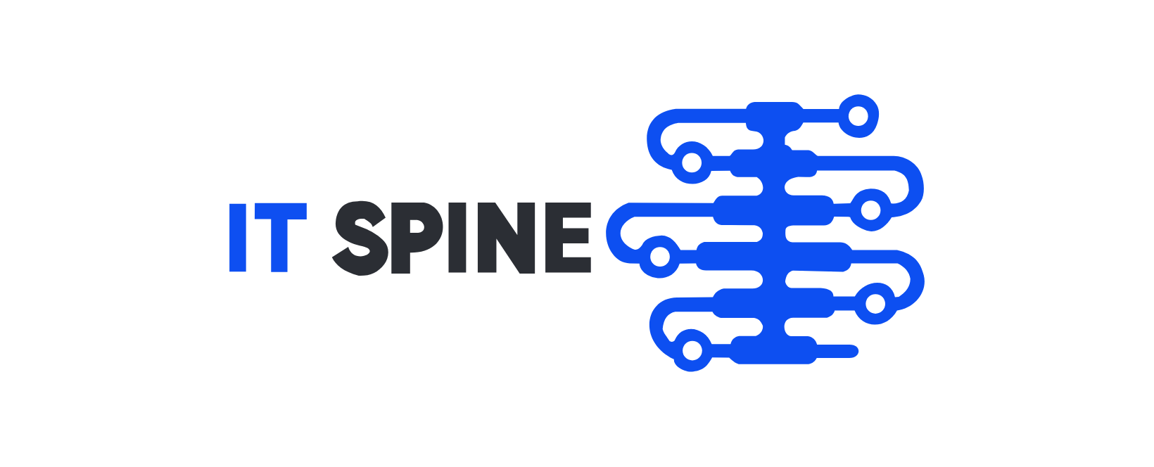 IT Spine logosu
