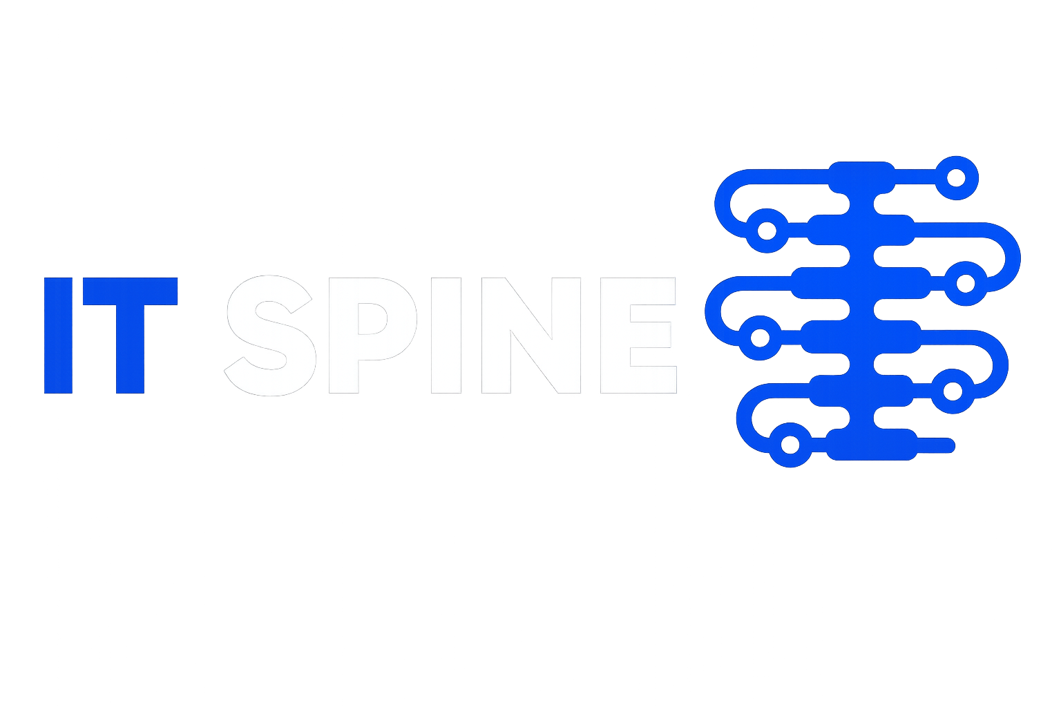 IT Spine logosu